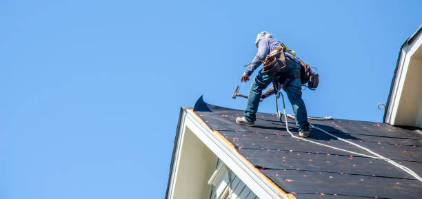 Best Storm Damage Roof Repair  in Borger, TX